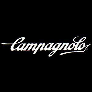 PACCO PIGNONI CAMPAGNOLO CENTAUR 11 SPEED