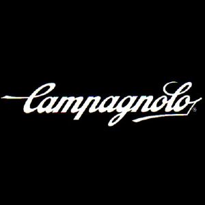 CATENA CAMPAGNOLO EKAR 13 SPEED