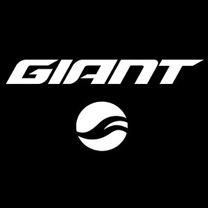 KIT TELAIO GIANT GLORY ADVANCED